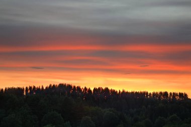 Maselga köyü manzarası. Kargopol bölgesi. Arkhangelsk Oblastı. Rusya