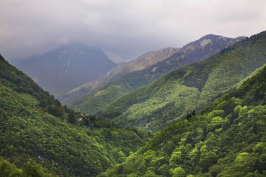 Tolmin yakınlarındaki manzara. Slovenya