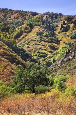 Turgen Vadisi manzarası. Kazakistan