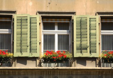 Bern manzarası. İsviçre