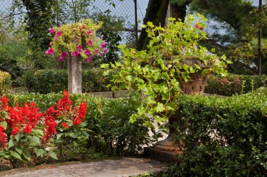 Cadenabbia 'daki bahçe manzarası. İtalya
