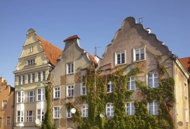 Olsztyn 'deki Miasto Meydanı' na bak. Polonya