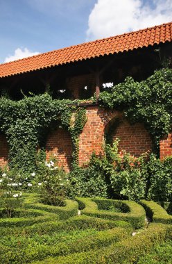 Torun 'daki kale duvarı. Polonya