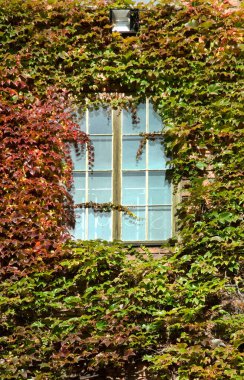 Stockholm Belediye Binası. İsveç