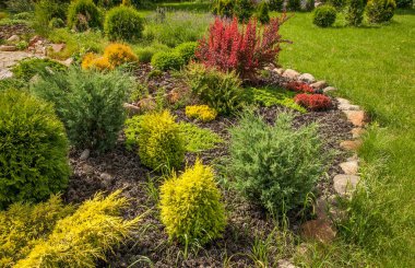 Szczebrzyn 'deki Bahçe 1. Polonya