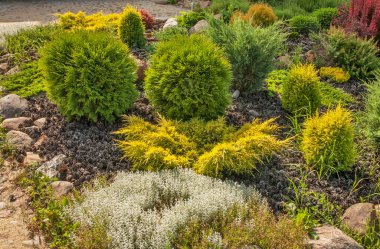 Szczebrzyn 'deki Bahçe 1. Polonya