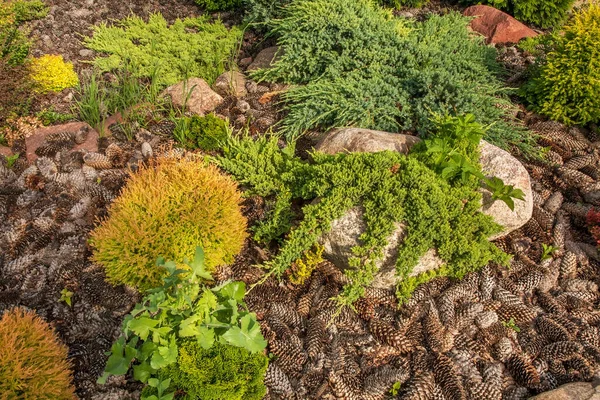 Szczebrzyn 'deki Bahçe 1. Polonya