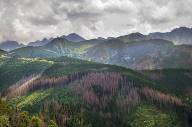 Zakopane yakınlarındaki Tatra Dağları manzarası. Polonya