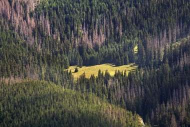Zakopane yakınlarındaki yüksek Tatras dağlarının manzarası. Polonya