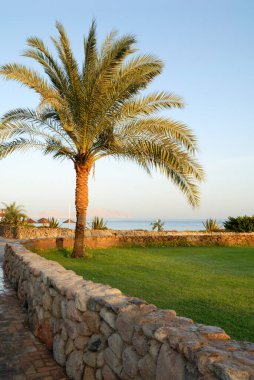 Sahibe Coral Bay Oteli. Şeyh Sharm. Mısır