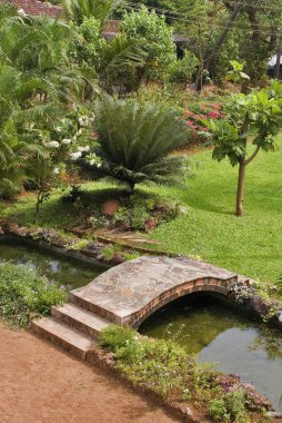 Garden in north Goa. Goa state. India clipart