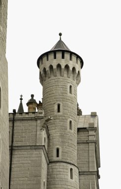 Neuschwanstein - Bavyera 'daki yeni Swanstone Kalesi. Almanya