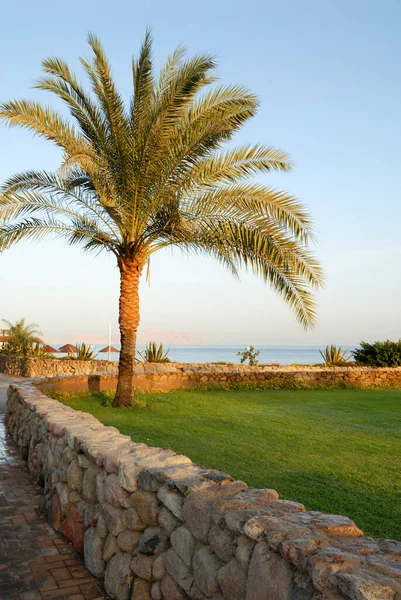 Hotel Domina Coral Bay Sharm Sheikh Egipto — Foto de Stock