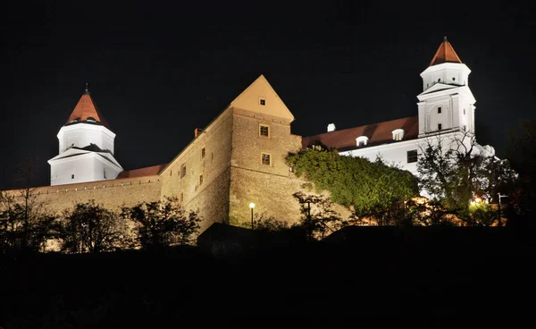 Vista Del Castillo Bratislava Países Bajos — Foto de Stock