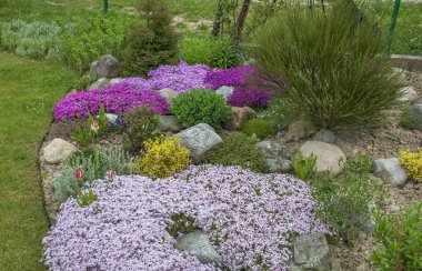 Rajecke Teplice 'deki Bahçe 1 Mayıs' ta. Slovakya