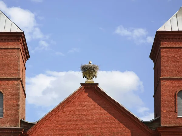 Ninho Cegonha Igreja Assunção Virgem Maria Prazaroki Região Vitebsk Bielorrússia — Fotografia de Stock