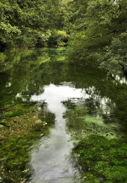 Rybník Saint Naum Makedonie — Stock fotografie