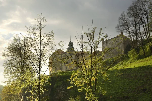 Pieskowa Skala Little Dog Rock Kasteel Ojcow National Park Polen — Stockfoto