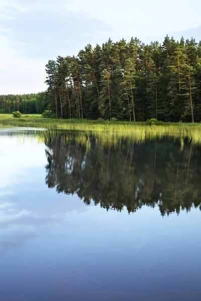 Lago Echo Perto Zwierzyniec Polónia — Fotografia de Stock