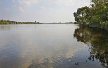 Torun yakınlarında Vistula Nehri. Polonya