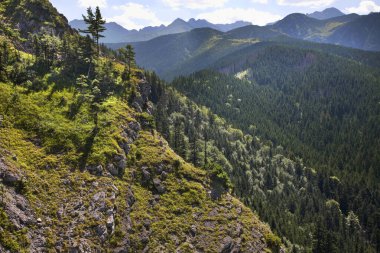 Zakopane yakınlarındaki yüksek Tatras dağlarının manzarası. Polonya
