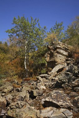 Issyk Kanyonu manzarası. Kazakistan