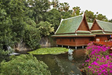 Puerto de la Cruz 'daki Loro Parkı. Tenerife. İspanya