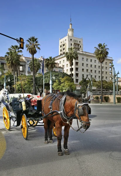 Paardrijtuig Marina Square Malaga Spanje — Stockfoto