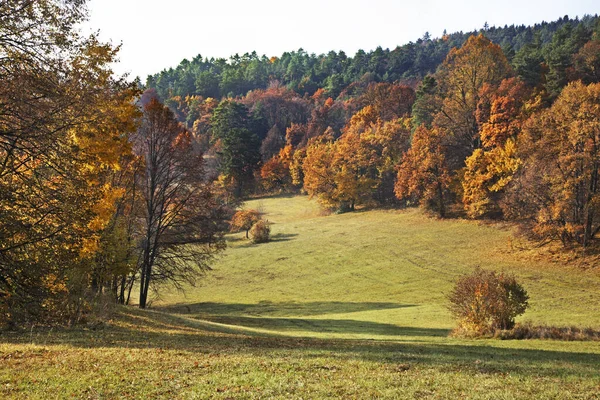 Landschaft Bei Bojnice Slowakei — Stockfoto