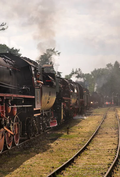 Železniční Skansen Chabowce Polsko — Stock fotografie