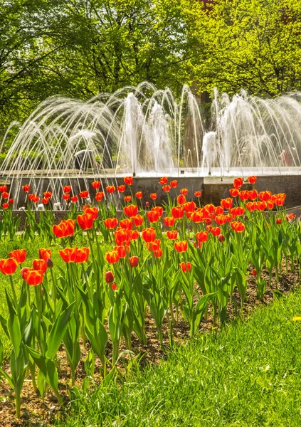 Friedensplatz Mytishchi Russland — Stockfoto