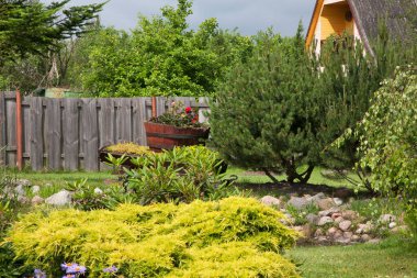 Vilkaviskis kasabası yakınlarında bir bahçe. Litvanya