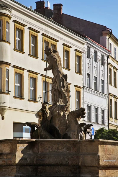 Fontána Neptun Dolním Náměstí Olomouci Morava Česká Republika — Stock fotografie