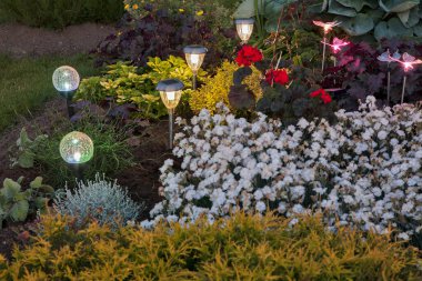 Vilkaviskis kasabası yakınlarında bir bahçe. Litvanya