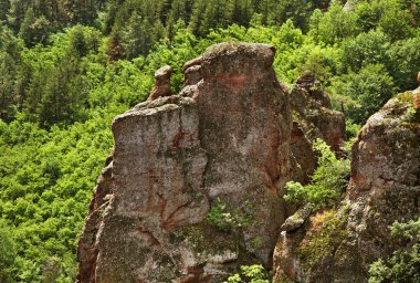 Belogradchik yakınlarındaki kayalar. Bulgaristan