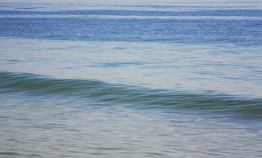 Golden Sands plajı. Bulgaristan