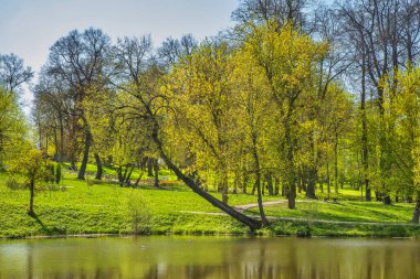 Lopasnya nehri Çehov 'da (eski Lopasnya). Rusya