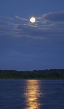 Kargopol 'deki Onega Nehri. Rusya