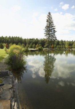 Moskova 'nın Krylatskoye bölgesinde park et. Rusya