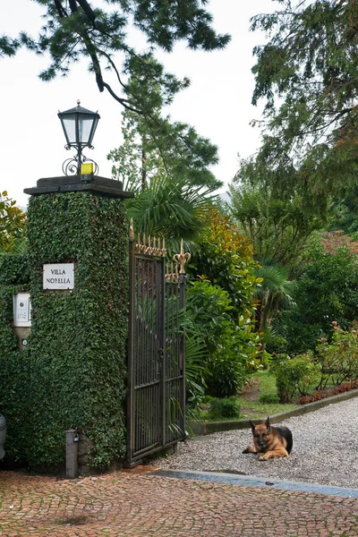 Garden Villa Norella Cadenabbia Italy — Stock Photo, Image