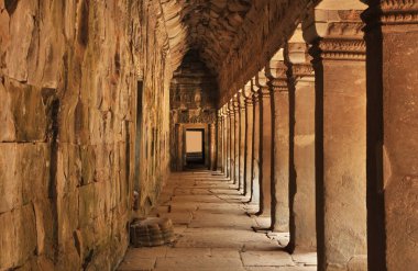 Angkor 'daki Ta Prohm tapınağı. Siem Reap bölgesi. Kamboçya