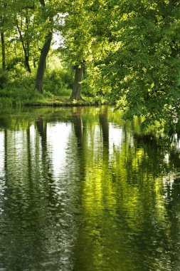 Zwierzyniec 'teki gölet. Polonya