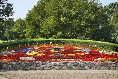 Ciechocinek 'teki tatil köyü parkı. Polonya