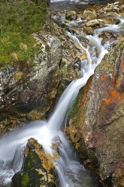 Adam Mickiewicz Watervallen Bij Zakopane Polen — Stockfoto