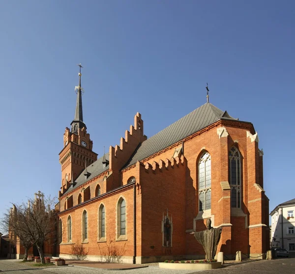 Cathedral Nativity Virgin Mary Tarnow Poland — Stock Photo, Image