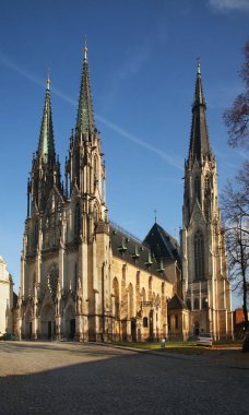 Olomouc 'taki Saint Wenceslas Katedrali. Moravia 'da. Çek Cumhuriyeti