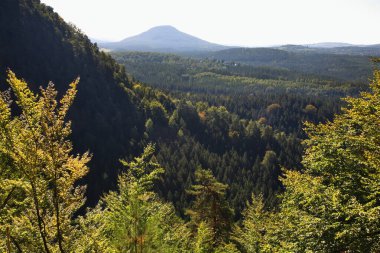 Bohem İsviçre - Hrensko yakınlarındaki Elbe Sandstone Dağları. Bohemya. Çek Cumhuriyeti