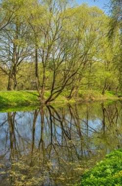 Lopasnya nehri Çehov 'da (eski Lopasnya). Rusya