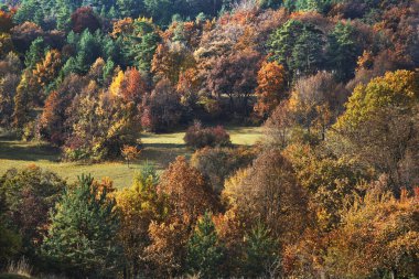 Bojnice yakınlarındaki manzara. Slovakya