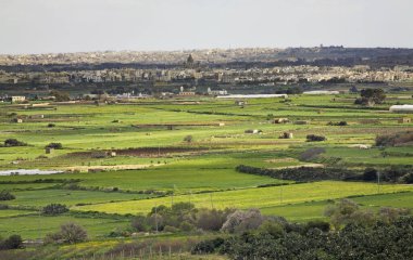 Rabat yakınlarındaki manzara. Malta